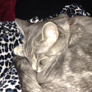 Meet your Posher, Felicity